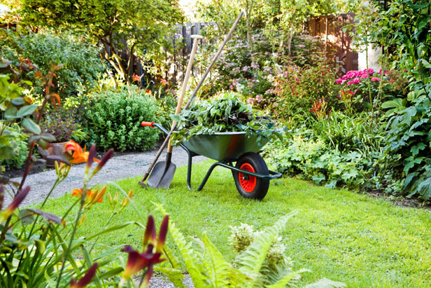 6 необходимых инструментов для дачника, которые упростят работу в саду